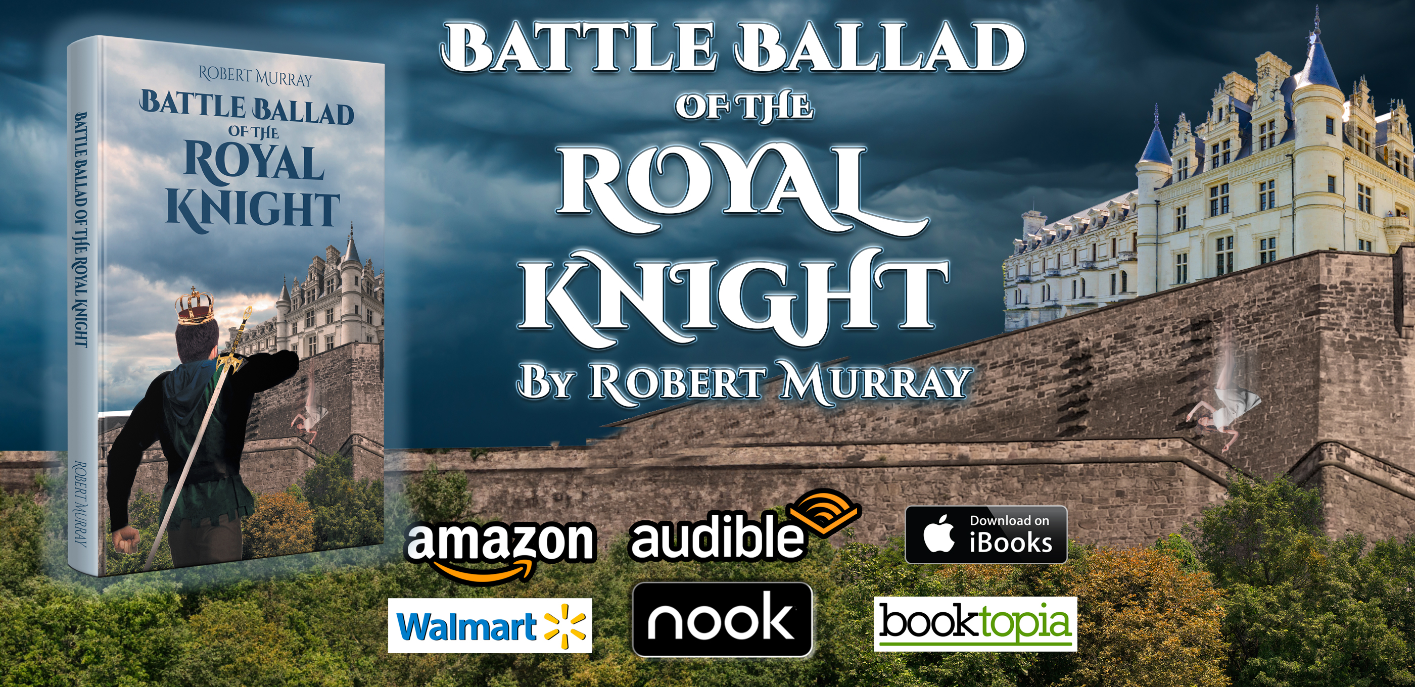 Modern Day Epic Poetry Camelot Chronicles the Book Series: the Lion of Camelot, The Aftermath of the king